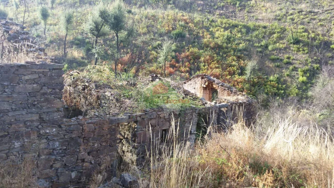 Terreno para Venda em Troviscal Foto 6