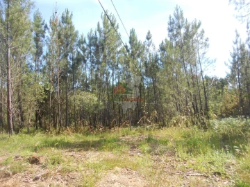 Terreno para Venda em Castelo