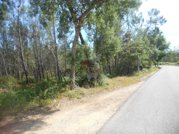 Terreno para Venda em Castelo