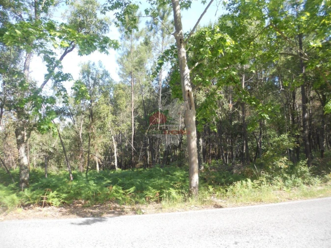 Terreno para Venda em Castelo Foto 3