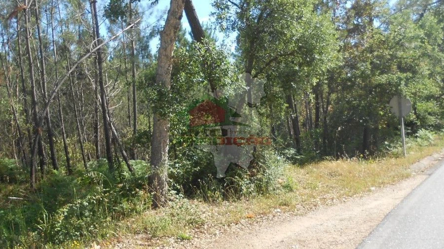 Terreno para Venda em Castelo