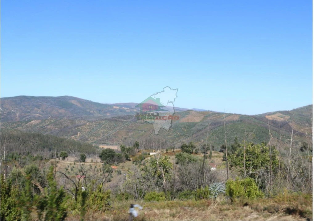Terreno para Venda em Madeirã Foto 28