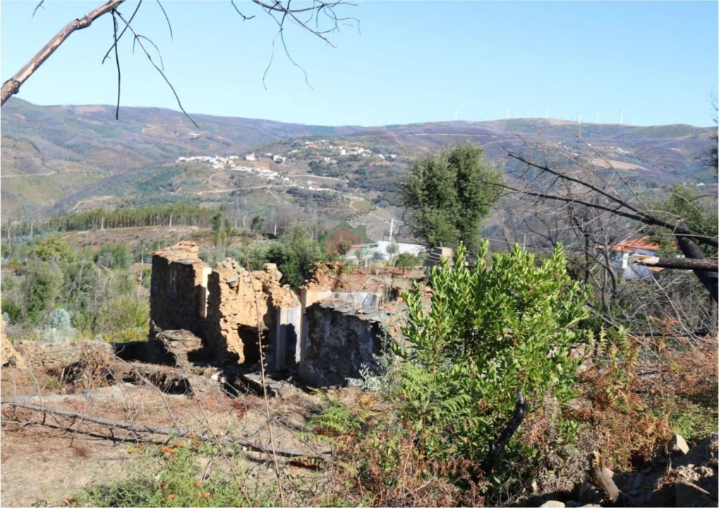 Terreno para Venda em Madeirã Foto 4