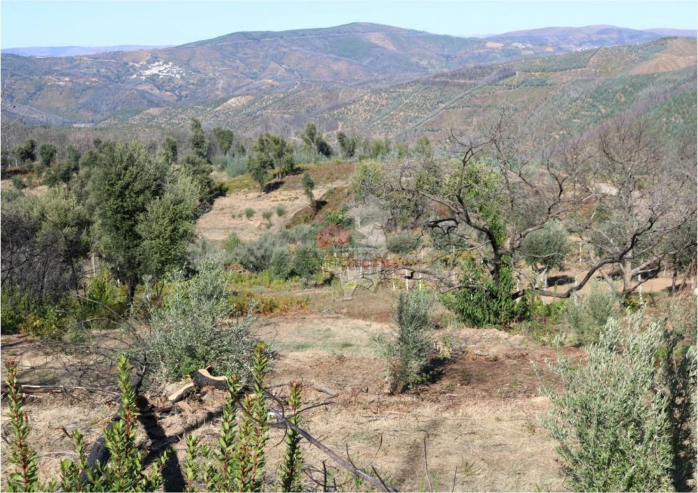 Terreno para Venda em Madeirã Foto 11