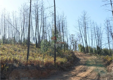 Terreno para Venda em Madeirã
