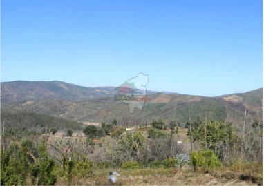 Terreno para Venda em Madeirã