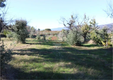 Terreno para Venda em Madeirã