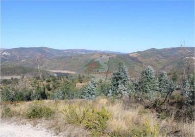 Terreno para Venda em Madeirã