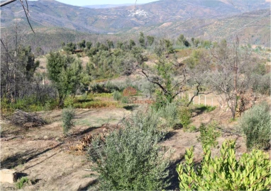 Terreno para Venda em Madeirã