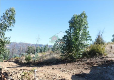 Terreno para Venda em Madeirã