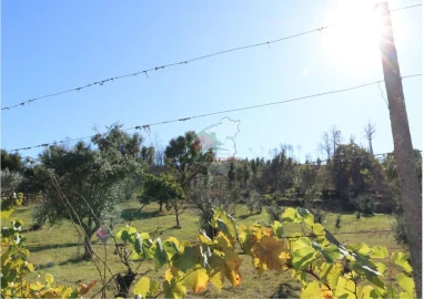 Terreno para Venda em Madeirã