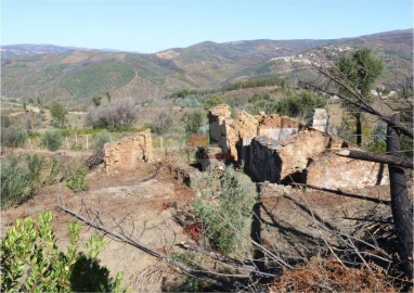 Terreno para Venda em Madeirã