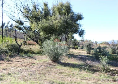 Terreno para Venda em Madeirã