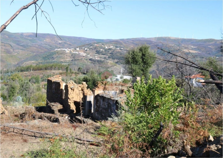 Terreno para Venda em Madeirã Foto 4