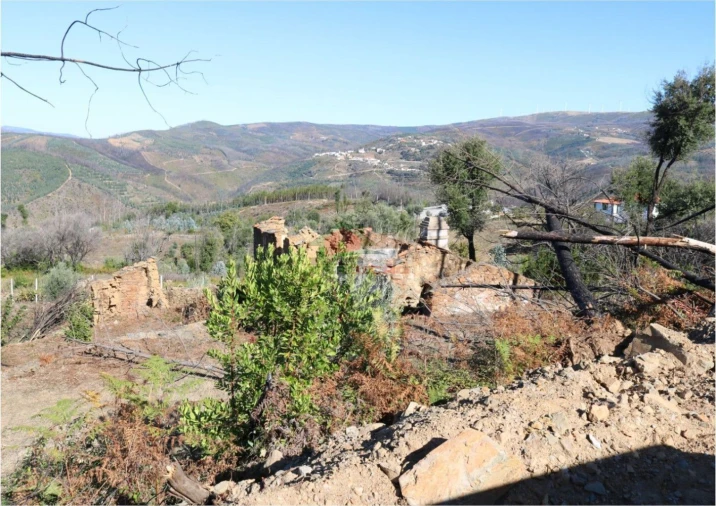 Terreno para Venda em Madeirã Foto 7