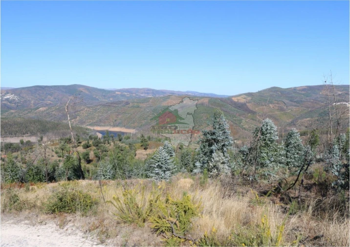 Terreno para Venda em Madeirã Foto 12