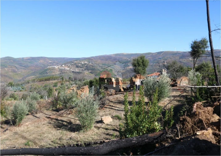 Terreno para Venda em Madeirã Foto 8