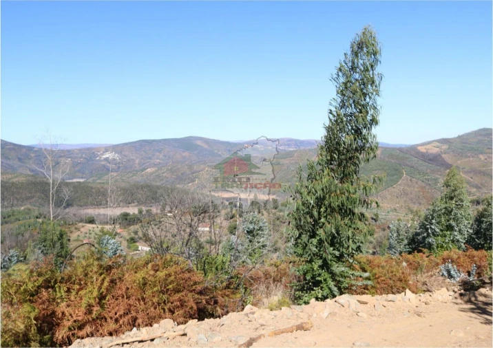 Terreno para Venda em Madeirã Foto 9