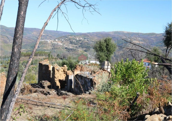 Terreno para Venda em Madeirã Foto 2