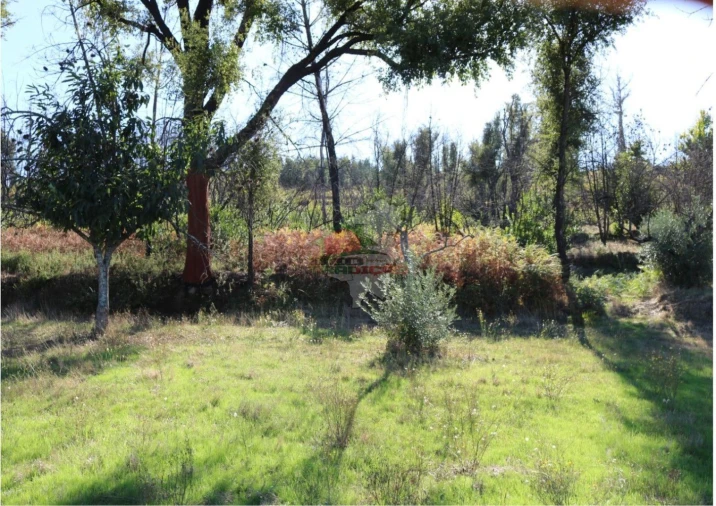 Terreno para Venda em Madeirã Foto 24