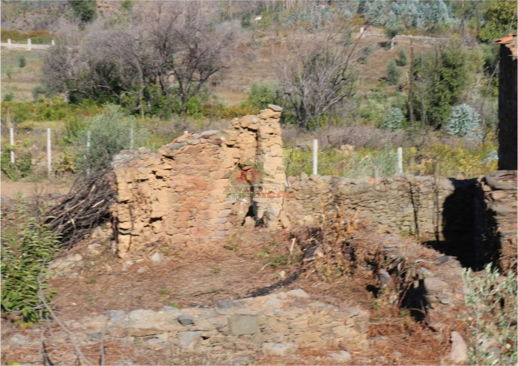 Terreno para Venda em Madeirã Foto 6