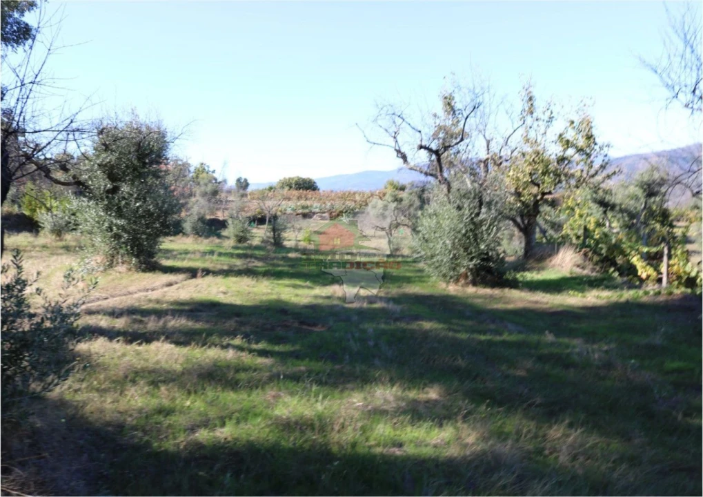 Terreno para Venda em Madeirã Foto 21