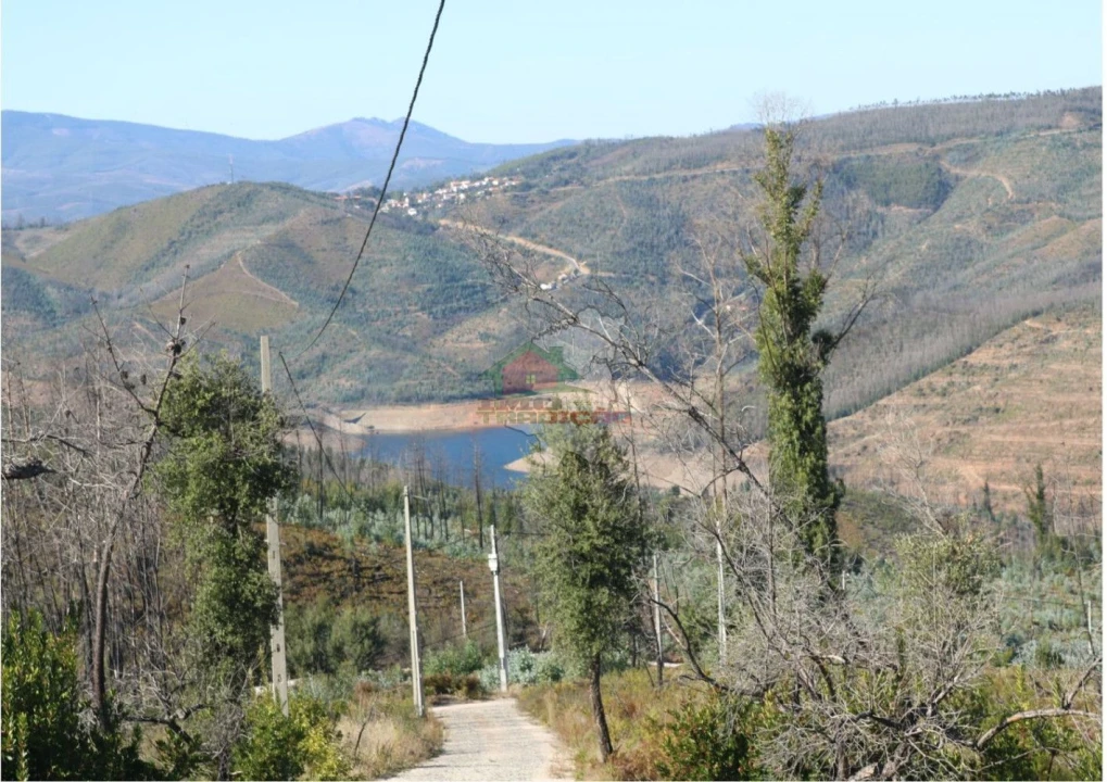 Terreno para Venda em Madeirã Foto 29