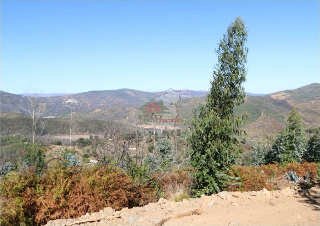 Terreno para Venda em Madeirã Foto 9