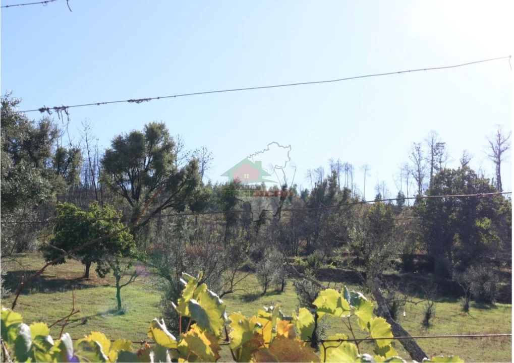 Terreno para Venda em Madeirã Foto 25