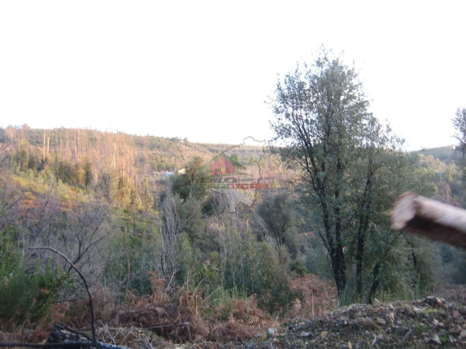 Terreno para Venda em Ermida e Figueiredo Foto 22
