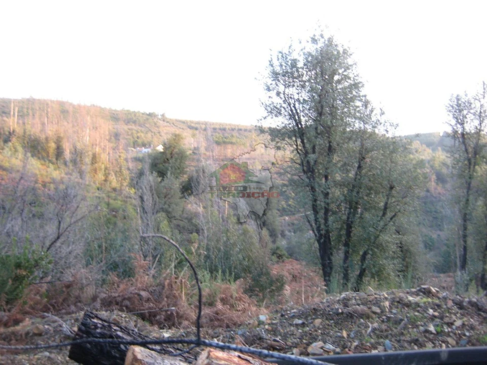 Terreno para Venda em Ermida e Figueiredo Foto 23