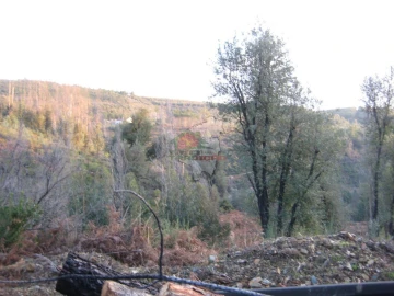 Terreno para Venda em Ermida e Figueiredo