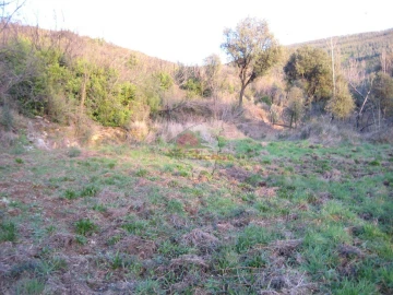Terreno para Venda em Ermida e Figueiredo