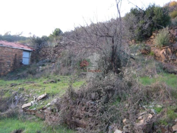 Terreno para Venda em Ermida e Figueiredo
