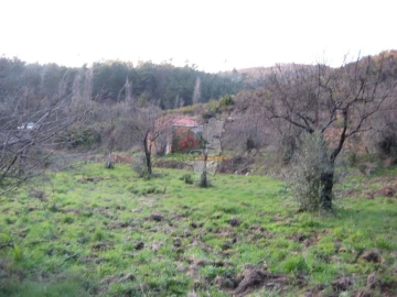Terreno para Venda em Ermida e Figueiredo