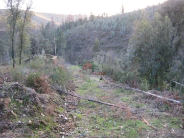 Terreno para Venda em Ermida e Figueiredo