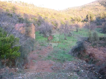 Terreno para Venda em Ermida e Figueiredo
