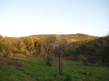 Terreno para Venda em Ermida e Figueiredo