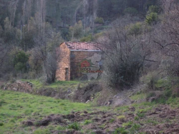 Terreno para Venda em Ermida e Figueiredo