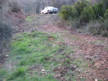 Terreno para Venda em Ermida e Figueiredo