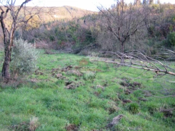 Terreno para Venda em Ermida e Figueiredo