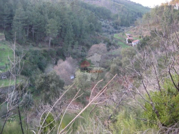 Terreno para Venda em Ermida e Figueiredo