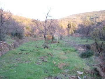 Terreno para Venda em Ermida e Figueiredo