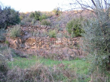 Terreno para Venda em Ermida e Figueiredo