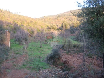 Terreno para Venda em Ermida e Figueiredo