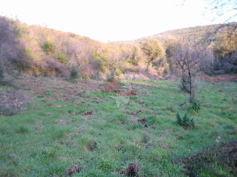 Terreno para Venda em Ermida e Figueiredo Foto 10