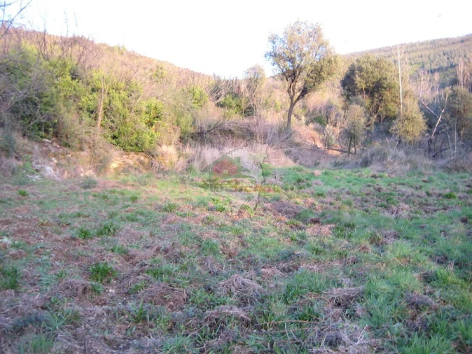 Terreno para Venda em Ermida e Figueiredo Foto 15