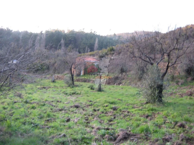 Terreno para Venda em Ermida e Figueiredo Foto 16