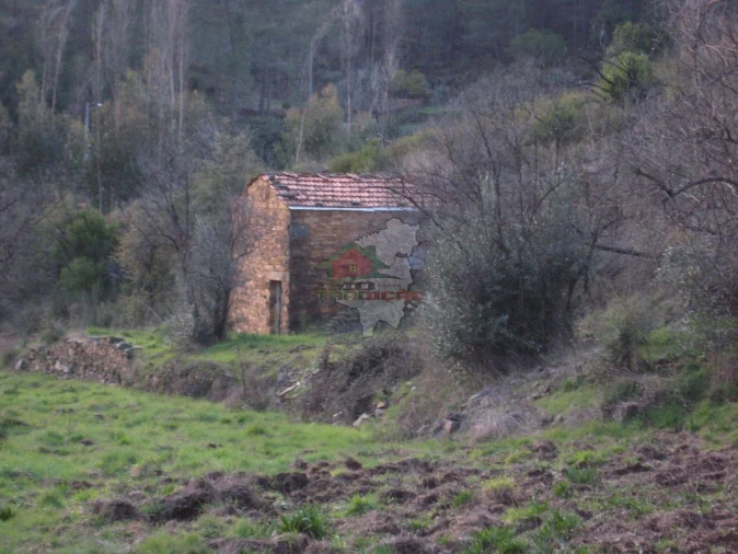 Terreno para Venda em Ermida e Figueiredo Foto 3