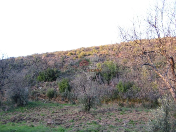 Terreno para Venda em Ermida e Figueiredo Foto 17
